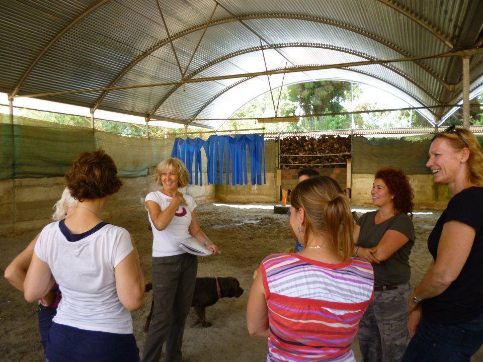 A group of women talking during a workshop in the covered arena at Natural Paddock