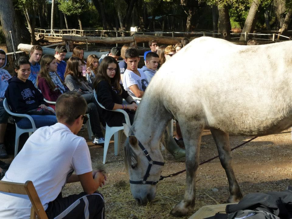 A group of young people sitting in a semicircle around a grey horse during a session