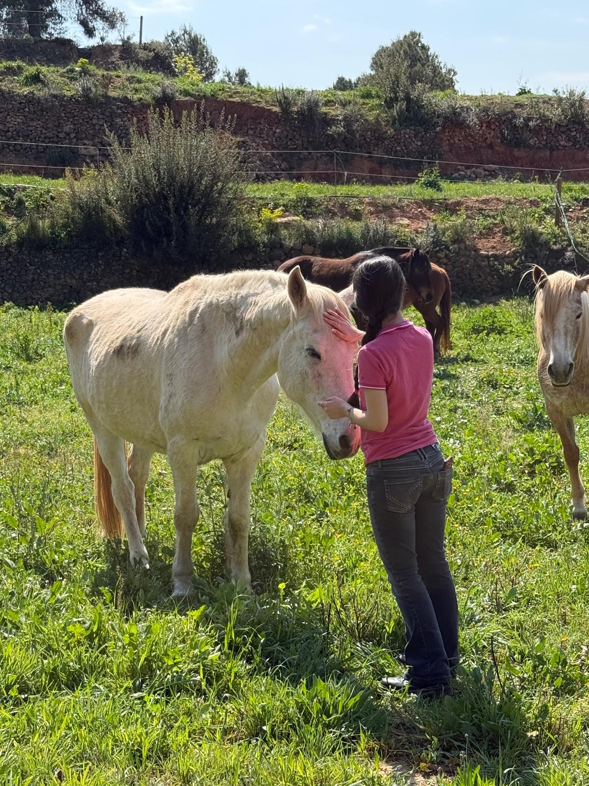 A woman stroking a grey horse in the meadow, beside the red earth bank
