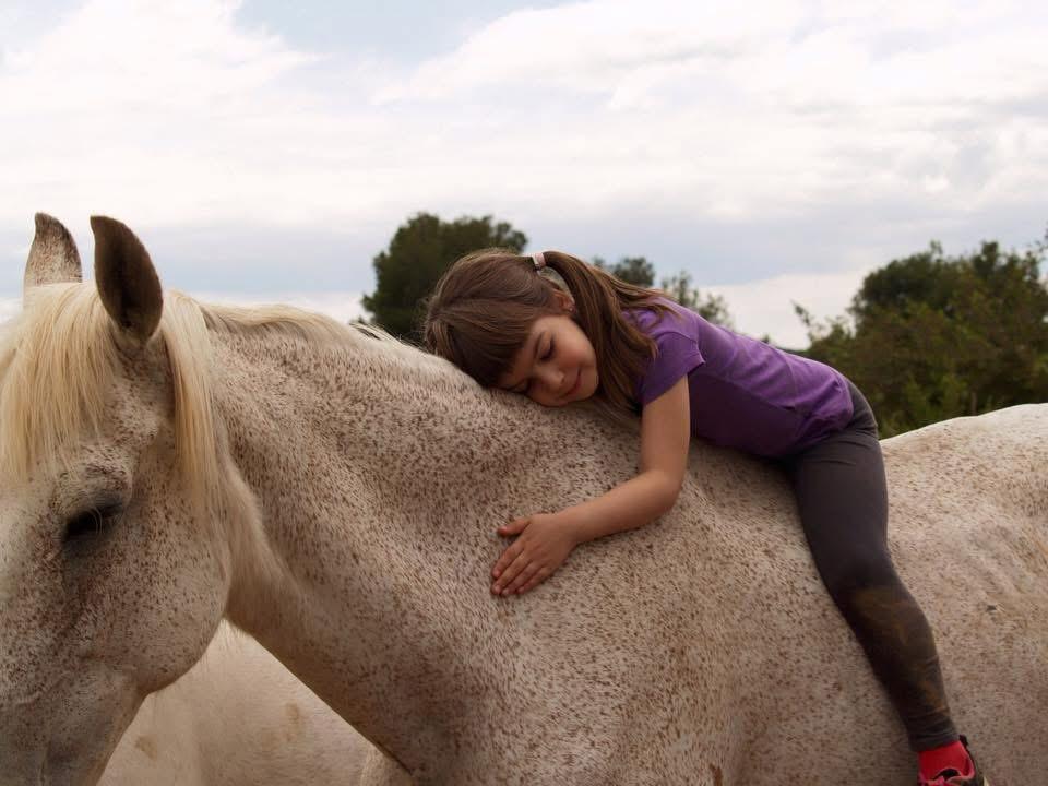 A girl leaning over the back of a grey horse out in the field