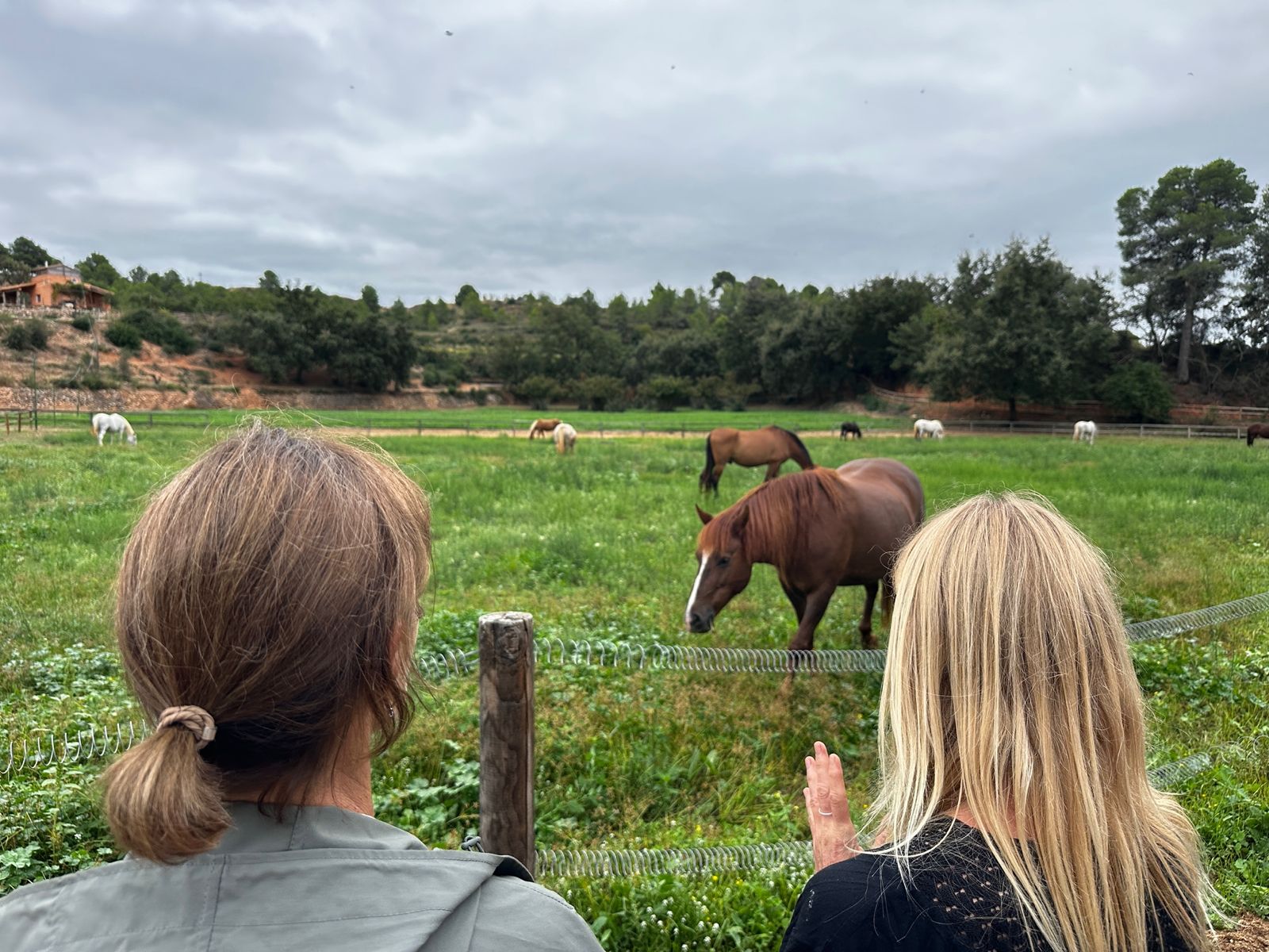 Two women watching the horses graze on the other side of the meadow fence